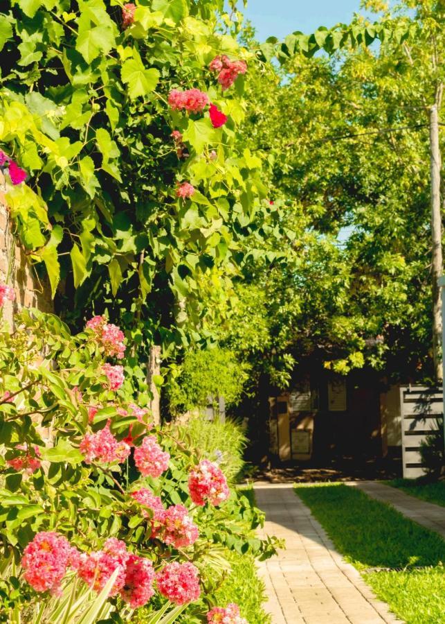 Vina Apartman Villa Elisa  Kültér fotó